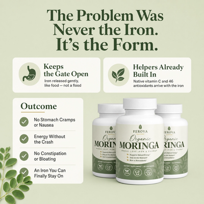 Whole-Leaf Moringa Capsules
